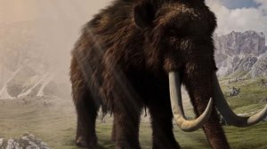 Звук Мамонта | Mammoth Sound