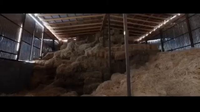 NOMADS Ет дүкені