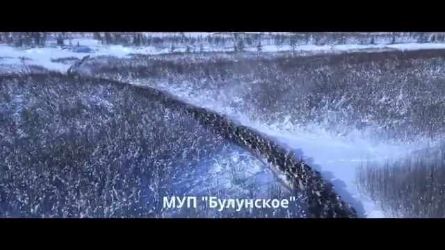 Оленья "река" смотреть онлайн