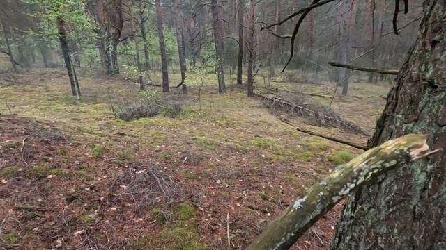 ОГНИВО/ТЕОРИЯ ВЫЖИВАНИЯ/By STRELOK