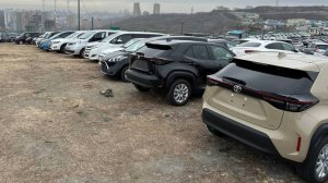 Авторынок Владивосток 2025 Авто из Японии Цены