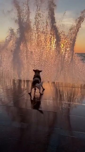 Стихия природа