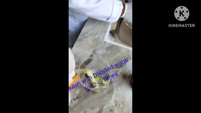 How to do tissue culture of sugarcane 2022 смотреть онлайн