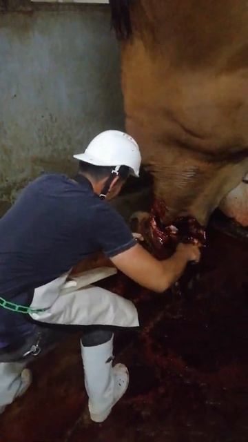 beheading - cuyacot mark andre смотреть онлайн