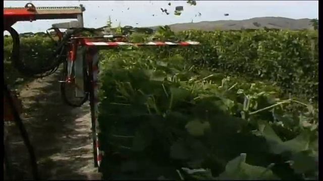 ERO Laubschneider Serie Elite смотреть онлайн