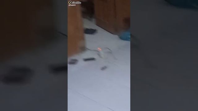 rc Syma 109G смотреть онлайн