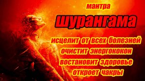 💖ИЗБАВЛЯЕТ ОТ БОЛЕЗНЕЙ СЕРДЦА И КРОВИ ( привороты, родовые проклятия)💖