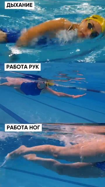 Правильные движения в кроле🏊🏼♂️ смотреть онлайн