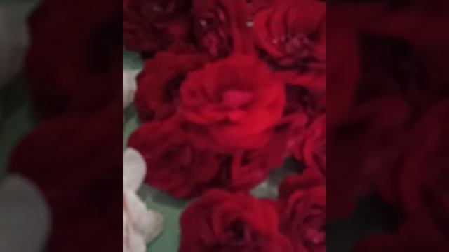 Гирлянды для Нрисимхадева и Туласи смотреть онлайн