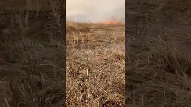 Пожар в поле смотреть онлайн