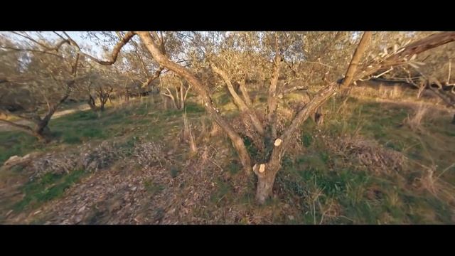 Impressive flight of the Airscaphe V2 into trees and into very small gaps смотреть онлайн