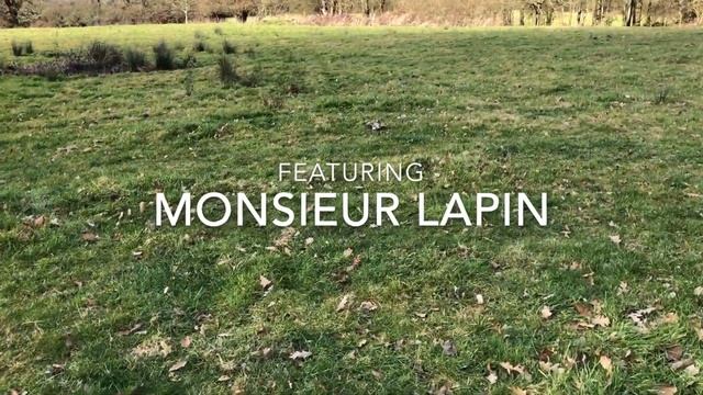 The Lure featuring Monsieur Lapin смотреть онлайн