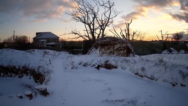 Кузя в Разливе. Зима.