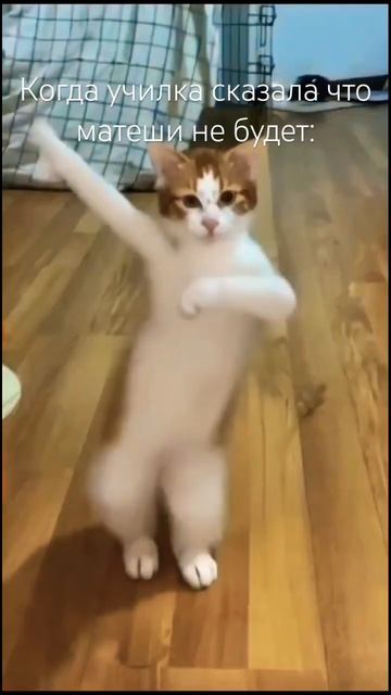 Жиза? #queen #врек #тренд #лика #лп #dance #игра #танец