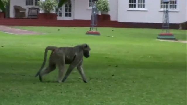 Zimbabwe_Hotel_Victoria_Falls