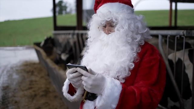 HOW DEEP DOES THIS CRACK GO??? | 12 Hooves of Christmas смотреть онлайн