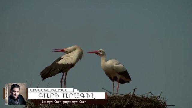 Arman Gasparyan: Bari Aragil (ԲԱՐԻ ԱՐԱԳԻԼ) смотреть онлайн
