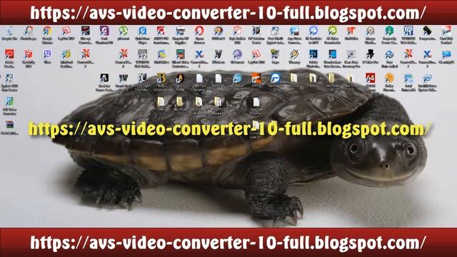AVS Video Converter 10.1.2.627 FULL смотреть онлайн
