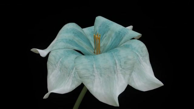 animate flower full viedo in blender. смотреть онлайн