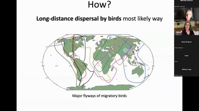 Dr. Mike Simpson: “Dispersal between American Continents and the Special Case of Popcorn Flowers" смотреть онлайн