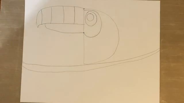 Pause and Draw a Toucan Step by Step "How-to" смотреть онлайн