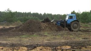 Чем заменить минеральные удобрения для голубики