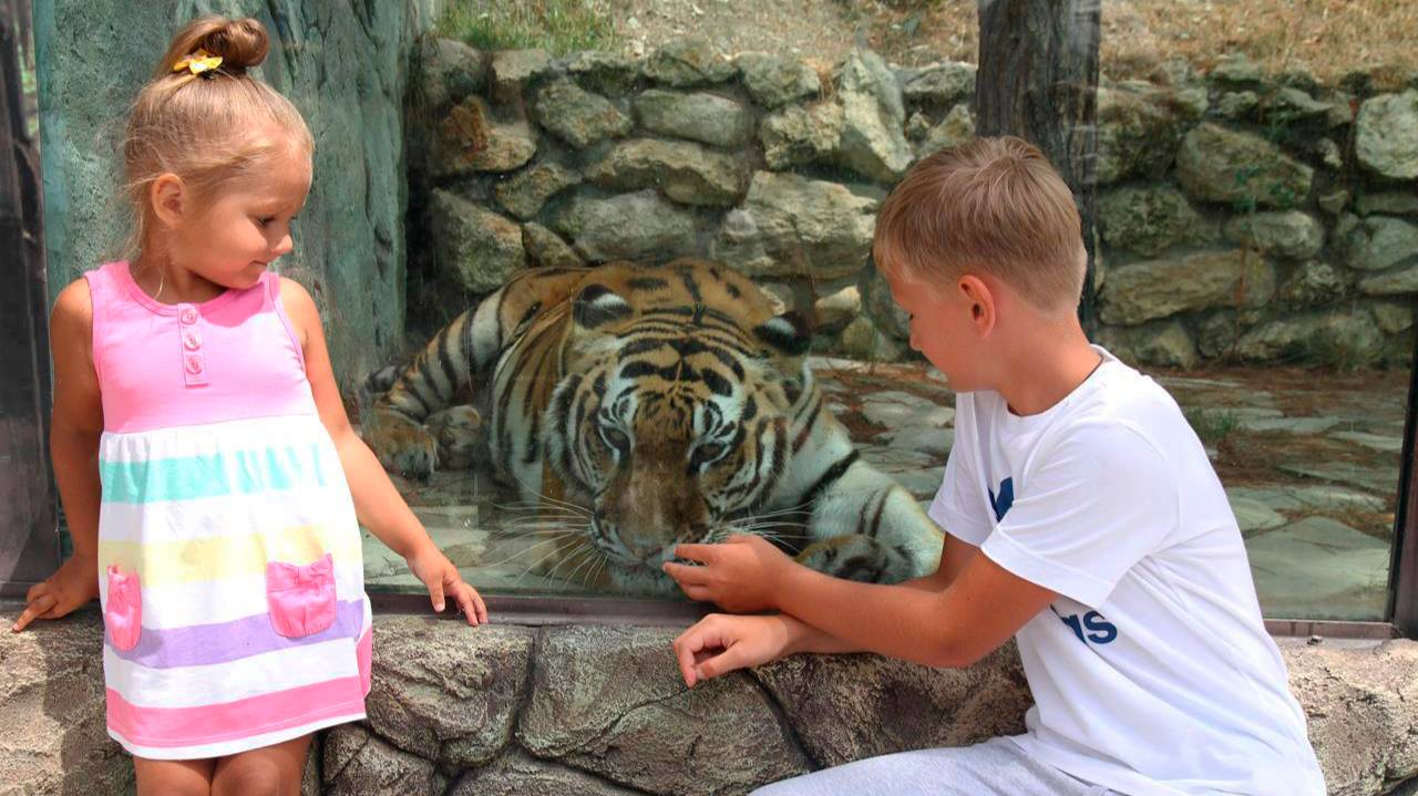 САФАРИ ПАРК в Геленджике | Смотрим животных в Сафари парке ☼ ЧЕРНОЕ МОРЕ, ГЕЛЕНДЖИК 2016 День #16 смотреть онлайн