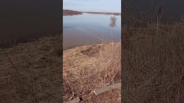 Окраина города Серпухов. Река Ока. Московская область #серпухов #московскаяобласть #нашеподмосковье