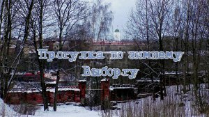 Прогулка по зимниму Выборгу