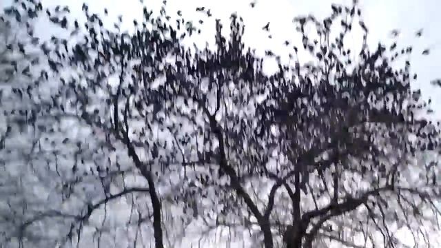 Охота началась! смотреть онлайн