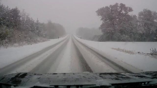 Snow Close Calls смотреть онлайн