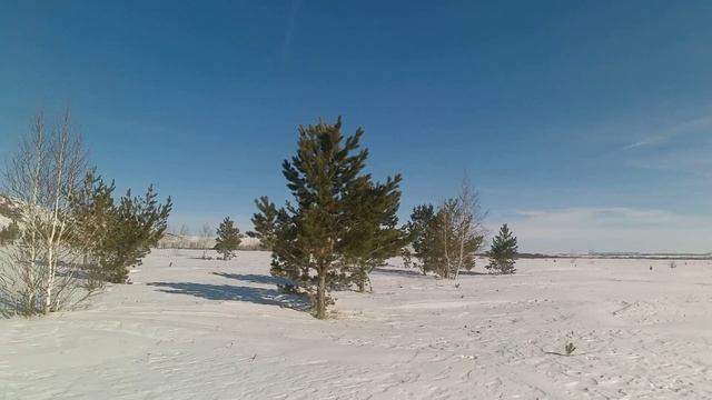 Охота на хитрого зайца смотреть онлайн