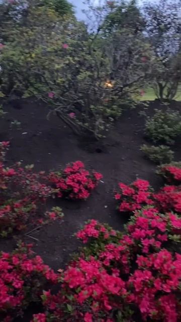 #путешествие#природа#жизнь#краснодар#отдых #journey#nature#beauty#life#paradise#park#russia#rest смотреть онлайн