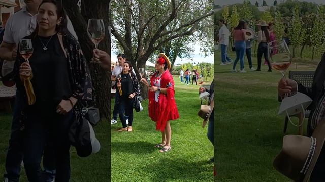 Bolivia. La Vendimia En Tarija 2023. Viajes A Bolivia Con Russ-Tico Travel. Боливия. Тариха.