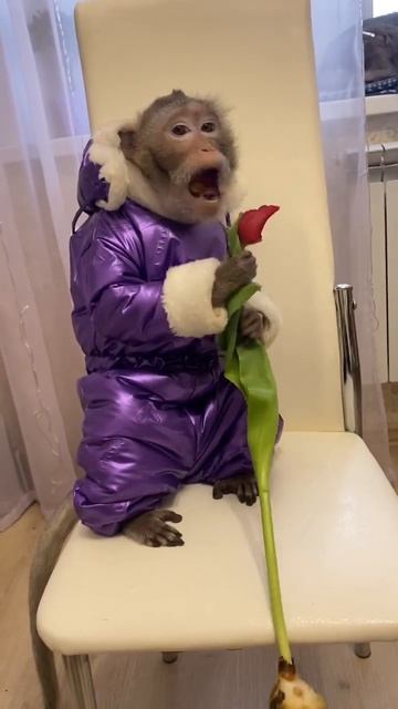 Поздравил Читу с 8 марта смотреть онлайн