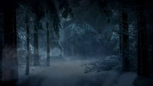 Видеофон таинственый лес окутанный пеленой серой распространяющейся дымки