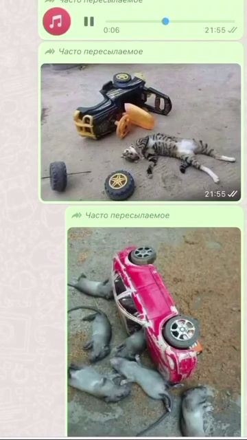 прикол