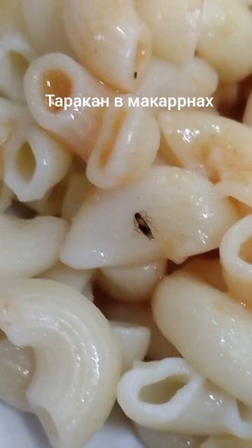 #таракан смотреть онлайн