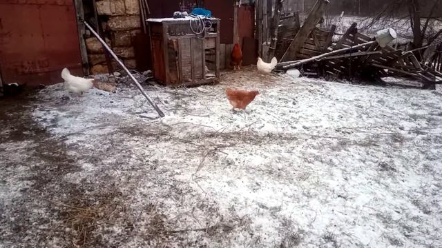 Петя громко поёт... смотреть онлайн