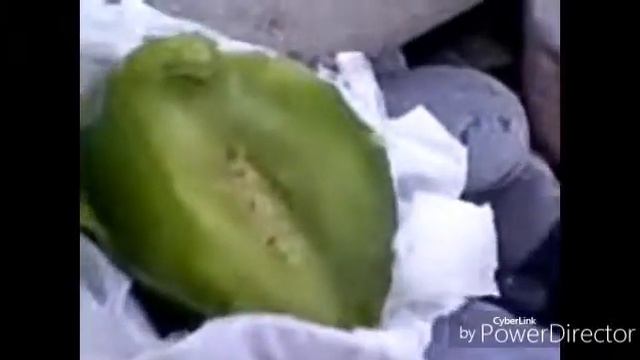 Батуми,Грузия,22 01 18,пн  Жареная Хамса