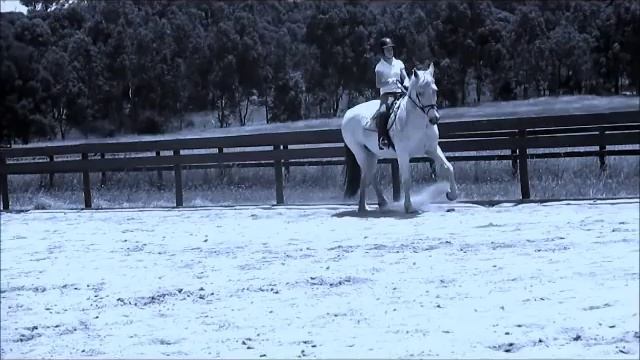 ♡ I belong with you, you belong with me, your my sweetheart ♡ смотреть онлайн