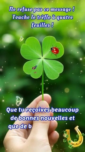 Touche le trèfle à quatre feuilles ! #2023 смотреть онлайн