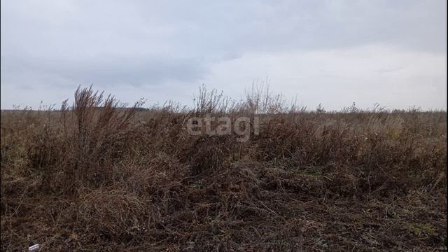 11603565 смотреть онлайн