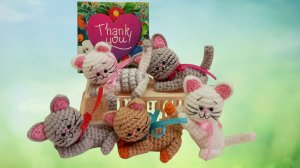 котик амигуруми, мастер класс по вязанию крючком маленького котенка.