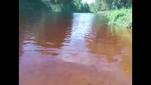 забруднена ріка Остер .Липень 2016 смотреть онлайн