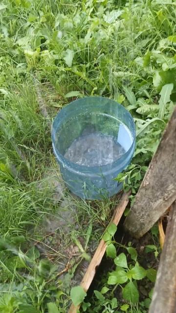 Сильный дождь 7 июня пятница время 2024 год время 15;45 смотреть онлайн