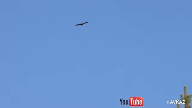 Мясо с Овощами в Казане на Костре