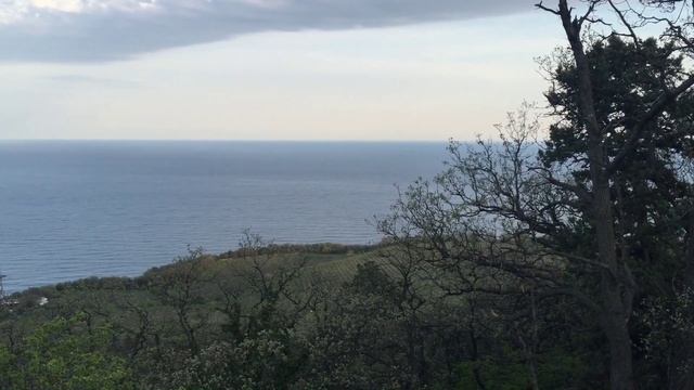 Никита, Крым 05-2015 смотреть онлайн