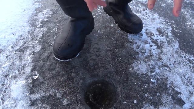 Корюшка у Толбухина. Лучшая рыбалка этого сезона! смотреть онлайн