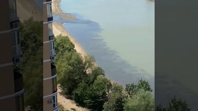 Река Кубань умирает смотреть онлайн